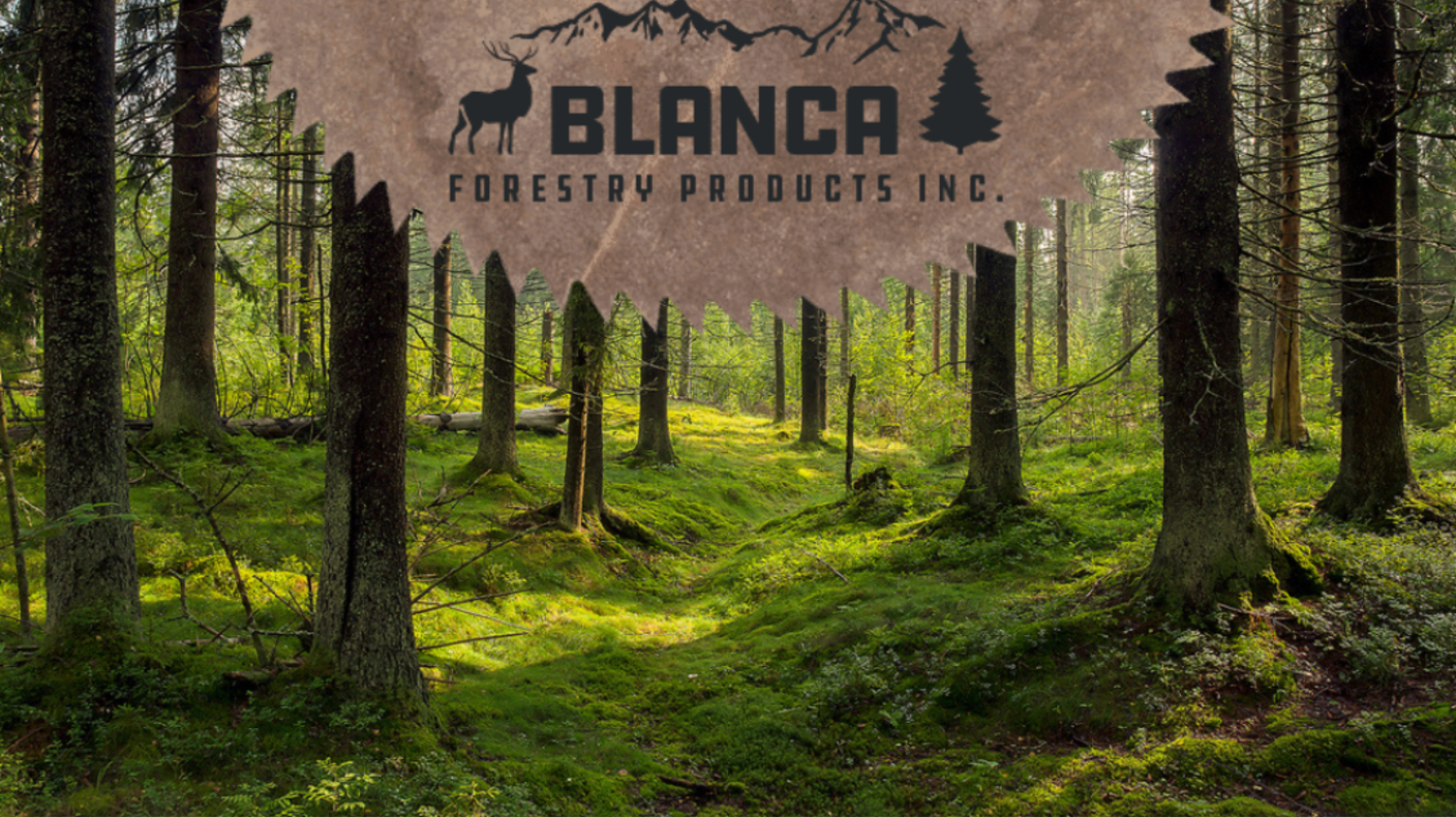 Lucidyne Scanner: Blanca Forestry Products – MiCROTEC Stands Out